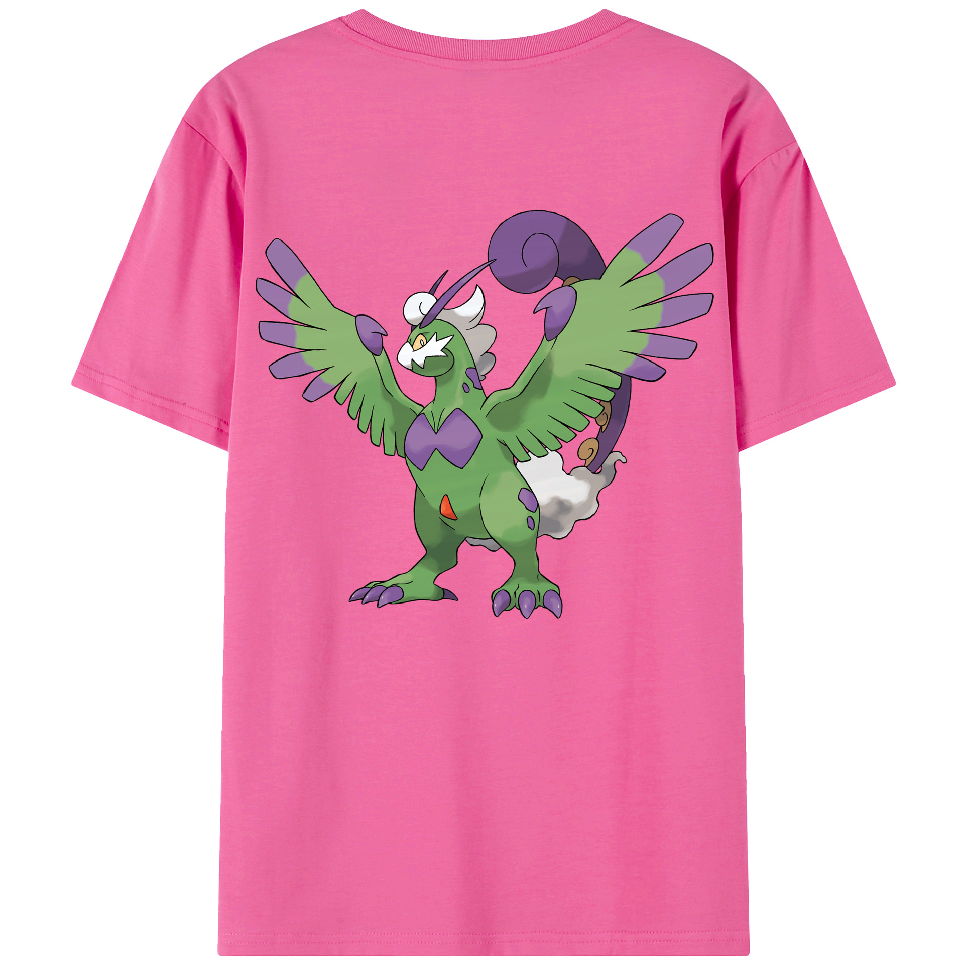 （画像用） ポケットモンスター Pokémon レディース半袖Tシャツ(バックプリント)